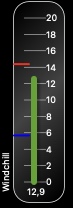 Wind chill gauge